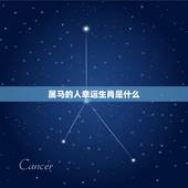 属马的人幸运生肖是什么，属马人的幸运数字是哪几个