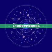 十二属相梵文的意思是什么，十二属相