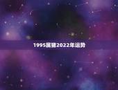 1995属猪2022年运势，1983年属猪男2022年每月运势？