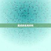 属虎的生肖好吗，属虎配什么生肖更好