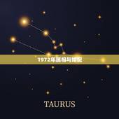 1972年属相与婚配，1970年属狗的和1972年属鼠的 婚配好吗？
