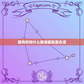 属狗的和什么属相最配最合适，兔的和什么属相最配最合适