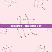 狗男猪女生什么属相的孩子好，生什么属相的孩子最好？