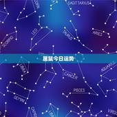 属鼠今日运势，属鼠的人今日运势-360星座网