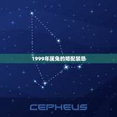 1999年属兔的婚配禁忌，99年属兔的属相婚配表