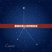 属猴的男士招财微信名，属狗微信起什么名字招财取个微信的名字