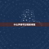 什么声音可以驱赶老鼠，驱赶老鼠的超声波mp3