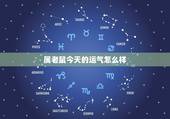 属老鼠今天的运气怎么样，今天运气这么好绘本