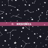 柏字五行属什么，柏康熙字典里几画五行属什么