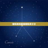 猪和龙的属相婚配多少分，龙和猪婚配属相和不和