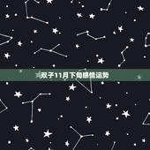 双子11月下旬感情运势，双子座11月份各方面的运势如何？