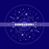 发财树怎么养活得久，发财树怎么养得更好