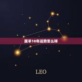 属羊10年运势怎么样，2010年属羊的运程怎么样