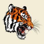 狗男和虎女相配婚姻如何(幸福美满的秘诀)