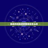 属龙的和属虎的婚姻会怎么样，属龙跟属虎的姻缘怎么样