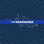 1987属兔男更佳配偶属相，1987兔男更佳婚配