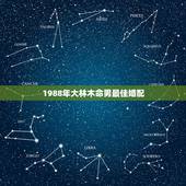1988年大林木命男最佳婚配，射手座大林木命88年龙男的婚配什么属相好