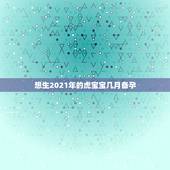想生2021年的虎宝宝几月备孕，想生2022年的虎宝宝几月备孕？