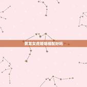男龙女虎婚姻相配好吗，86女虎88男龙相配吗