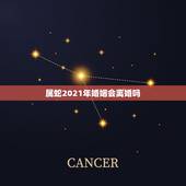 属蛇2021年婚姻会离婚吗，属蛇的32岁2021年婚姻如何