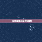 1988年男龙和属牛女婚配，1997年属牛的和1988年属龙女生相配吗