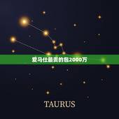 爱马仕最贵的包2000万，世界最贵的皮包？