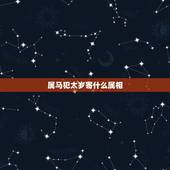 属马犯太岁寄什么属相，2023年冲太岁的生肖是谁？属马冲太岁化解办法有