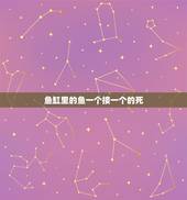 鱼缸里的鱼一个接一个的死，我的孔雀鱼为什么老是一个接着一个死呢？