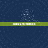 87年属兔2022年桃花劫，1971年的桃花劫