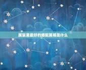 属鼠男最好的婚配属相是什么，属鼠的男孩最适合找属什么生肖的女孩配对合适