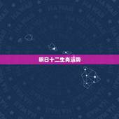 明日十二生肖运势，十二生肖运势