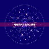 两袖清风比喻什么属相，两袖清风，是什么生肖
