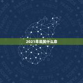2021年是属什么命，2021年属牛是什么命
