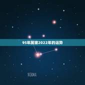 95年属猪2022年的运势，95年属猪的2014运势