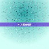 11月属猪运势，71年十一月属猪的人今年运气怎么样