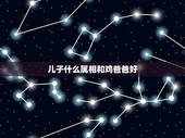 儿子什么属相和鸡爸爸好，父亲属鸡孩子属什么好