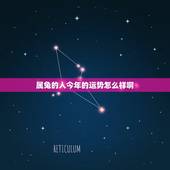 属兔的人今年的运势怎么样啊，属虎的人今年运势2022
