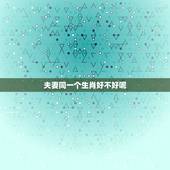 夫妻同一个生肖好不好呢，同属相夫妻