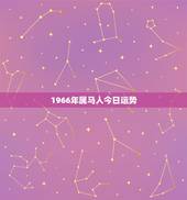1966年属马人今日运势，1966年属马运势