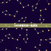1985年属牛的一生命运，属牛的海中金命的女人