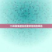 75年属兔微信名聚财吉利的网名，我属马，1978年的，11月的马起个甚