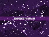属相婚配猴和鸡怎么样，属猴和属狗的相配吗