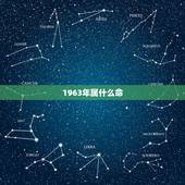 1963年属什么命，1963年属虎是什么命