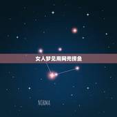 女人梦见用网兜捞鱼，梦见两人用网兜捞了四五条鱼