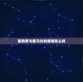 属狗男与属马女的婚姻怎么样，男狗女马的婚姻与财运