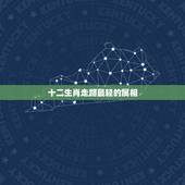 十二生肖走路最轻的属相，十二生肖中走路缓慢的动物是什么？