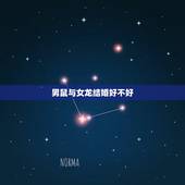 男鼠与女龙结婚好不好，鼠和龙的婚姻怎么样