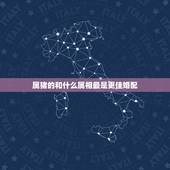 属猪的和什么属相最是更佳婚配，95属猪哪一年结婚更好
