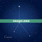 马年出生的人的命运，78年属马43岁以后财运