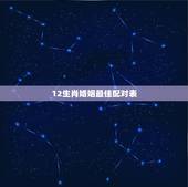 12生肖婚姻最佳配对表 属相配对表婚姻配对表